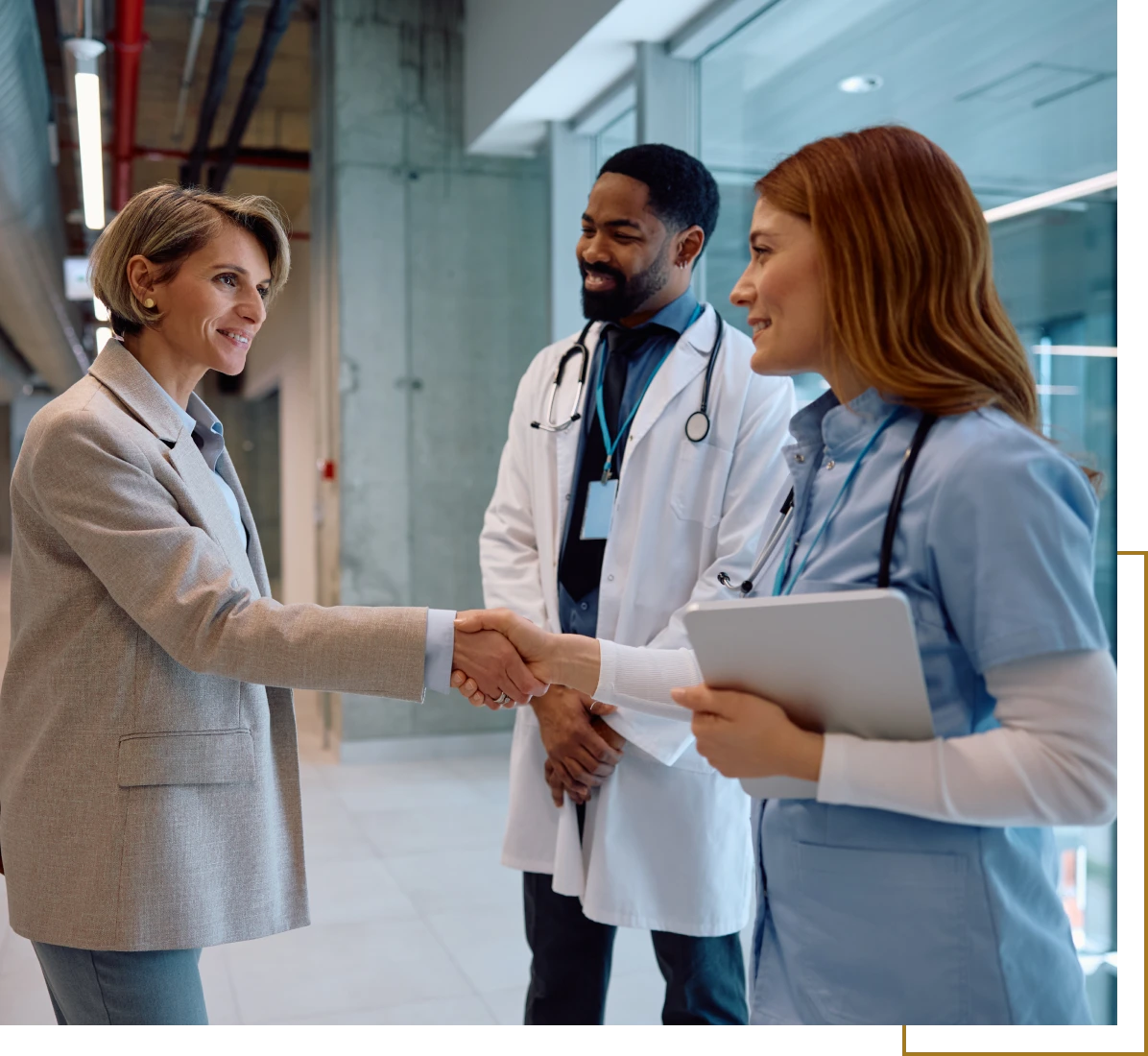 Doctor and nurse meeting businesswoman.